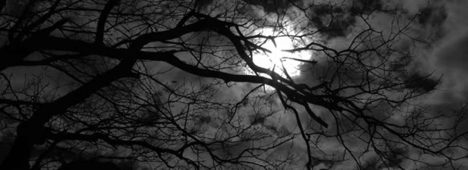 dark_night_by_rad_wulf-d5xx0pd