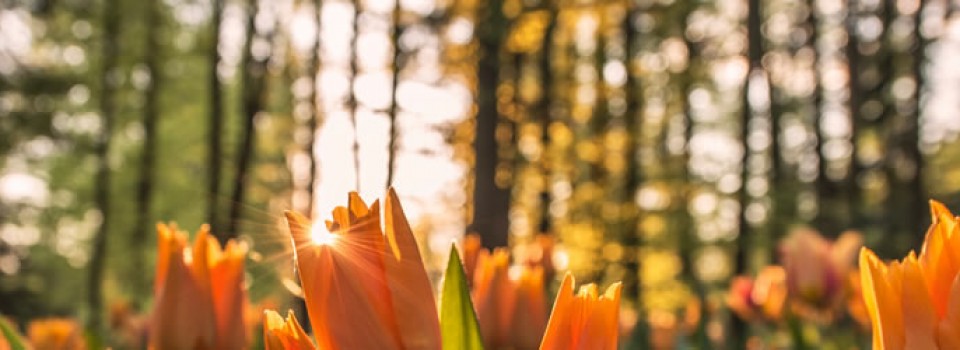 Create a sacred space - kerrie erwin