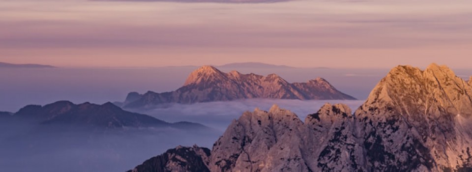 kerrie-erwin-blog-header