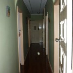 Like Orbs - Kerrie Erwin