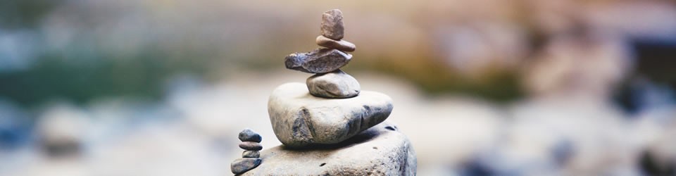 Introduction Meditation Working with your Animal Spirit Guide