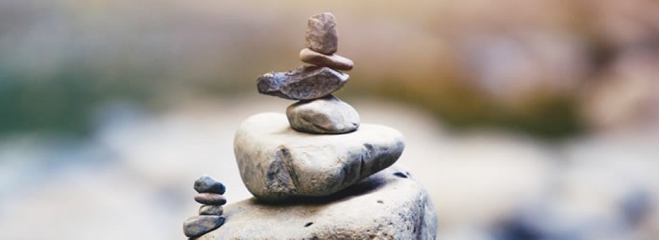 Introduction Meditation Working with your Animal Spirit Guide