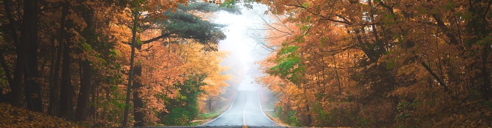 a mediums work blog kerrie erwin