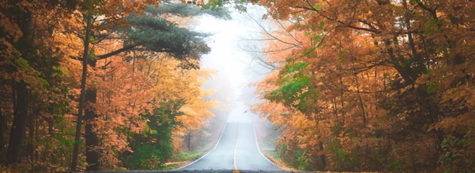 a mediums work blog kerrie erwin