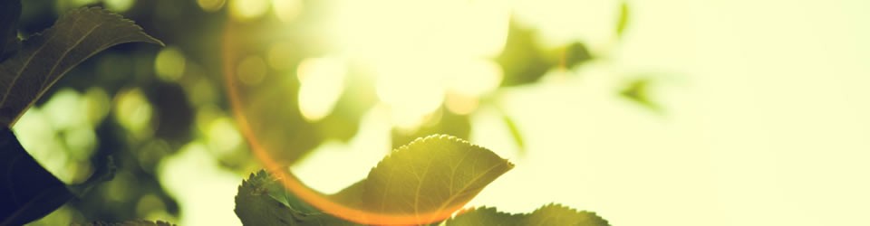 kerrie erwin affirmations