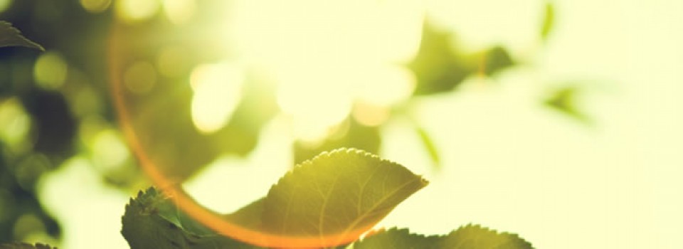 kerrie erwin affirmations